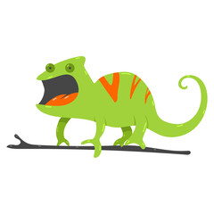 Fototapeta premium Chameleon vector cartoon illustration isolated on a white background.