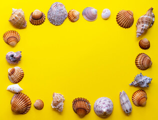 Seashells, starfish and sea pebbles frame on beach sand background. Natural seashore textured surface, top view, copy space