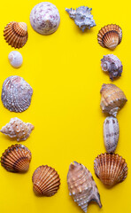 New Year. New Year 2021 Christmas card made of seashells. Creative greeting card for the holiday with fir branches. Year of yellow earthen pig. Light orange with christmas tree branches