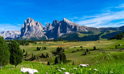 Fototapeta na wymiar Seceda Mountains at the Dolomites, Trentino Alto Adige, Val di Funes Valley, South Tyrol in Italy, Odle Mountains in the background, Italy.