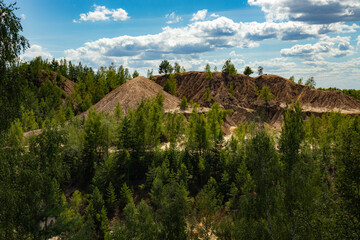 Obraz premium Reclaimed abandoned sand and clay quarry. Many trees have grown on the sandy slopes. Beautiful sunny summer landscape.