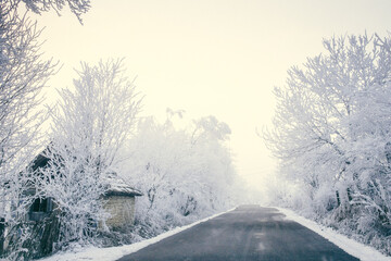 beautiful frozen winter landscape with frosty trees