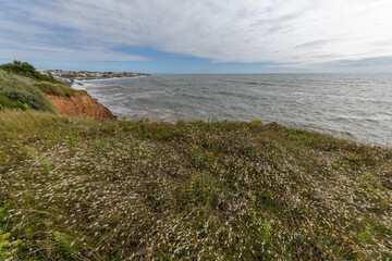 Lansdcape of the Atlantic Ocean on the French coast.