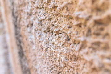 Texture of Marés or Calcarenita sandstone.