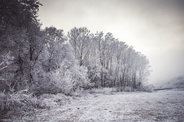 beautiful frozen winter landscape with frosty trees