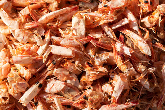 Abstract background from shrimp peels. Selective focus.