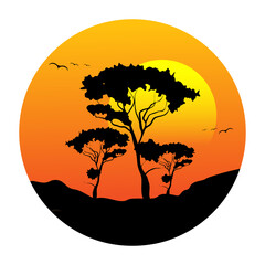 Silhouette of acacia under sunset.