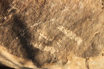San Bushmen Painting Drakensberg