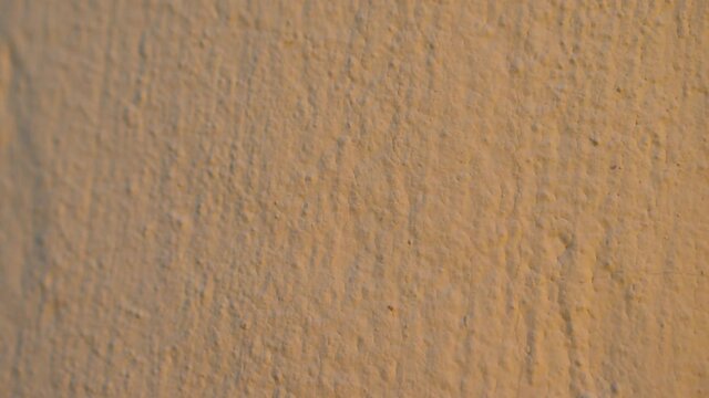Putty wall aligning with plaster in room, renovation construction works and overhaul, closeup view. Finishing repairing works. Texture of gray cement plaster. Plastering coating wall surface