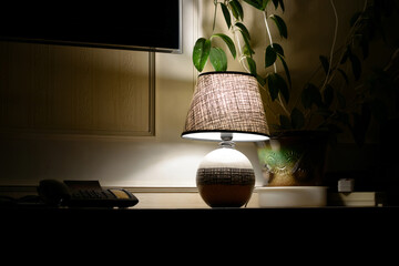 Luminous floor lamp on the table near the flower, phone and TV at night