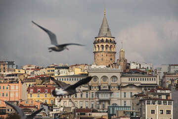 Cloudy Istanbul Galata Tower and seagulls