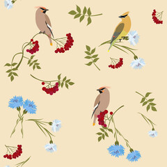 Seamless vector illustration with rowanberry branches, cornflowers and birds