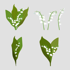 Fototapeta na wymiar Vector illustration with may lily of the valley