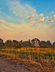 old windmill in a field near ahrenshoop at the baltic sea