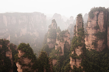 Fototapeta na wymiar Zhangjiajie mountain at Wulingyuan Scenic Area in Hunan - China