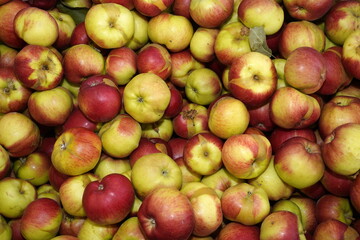 Äpfel formatfüllend