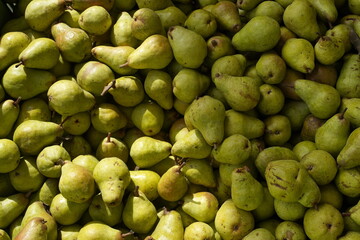 Birnen, Formatfüllend