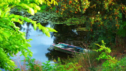 nature