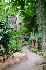 植物園温室
