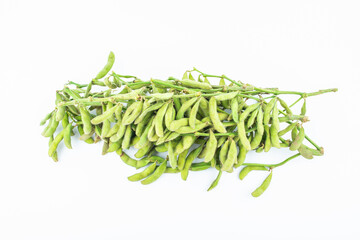 Fresh soybeans on white background