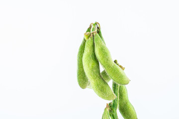 Fresh soybeans on white background