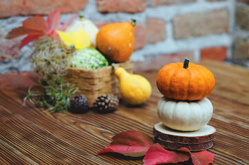 Fototapeta na wymiar Autumn harvest of small different pumpkins in beautiful decoration.