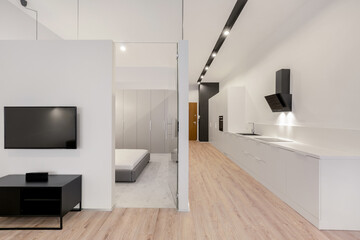 Spacious white apartment