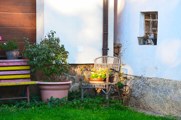 Still life - Garden rattan chair with flower pot, big flower pot with green plant, light and shadow play