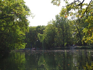 autumn park. people boating on the pond on the background of beautiful colorful trees.