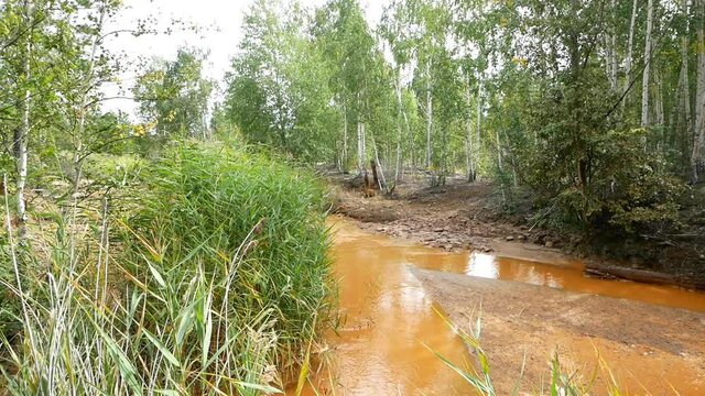Environmental pollution because of the working plant.

Water turned orange due to the drains of the perith metal.
Water and forest are polluted with harmful emissions from the factory.