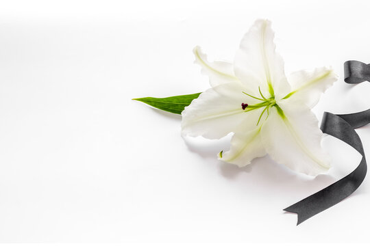 Condolence Card With White Flowers Lily. Funeral Symbol