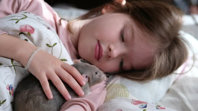 little girl petting her pet cute rat