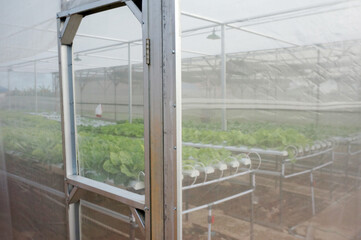 View of outside hydroponics farm, Selective Focus. 