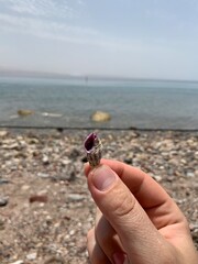 shell on a hand
