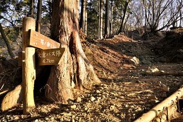 丹沢の道 大倉尾根の小草平