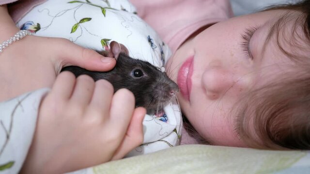 little cute girl hugs and kisses her pet rat at home in bed