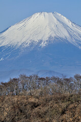 Fototapeta na wymiar 冬晴れの丹沢山地 塔ノ岳から望む富士山
