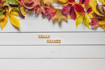Autumn flat lay with multicolored fallen leaves and hello autumn lettering