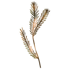 Raster autumn leaf. Floral illustration on white background. Botanical image can be used for wedding invitation, design template, greeting card, patterns fill.