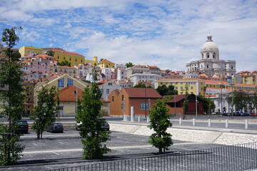 Fototapeta premium Bäume mit Häuser