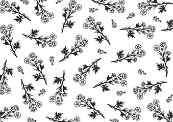 Vector background with flowers. Buttercup vector illustration. Flower pattern buttercup. Black and white vector engraving of buttercup. Floral pattern on a white background.