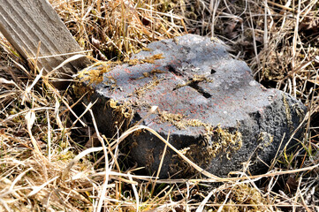 鍋割山山頂の三角点 三之萱