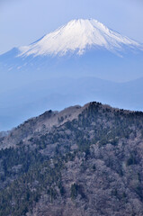 雪化粧した富士山 丹沢の鍋割山からの展望
