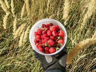 jar of ripe raspberries