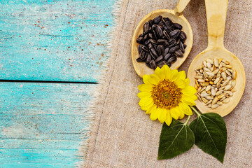 Whole and peeled sunflower seeds, sea salt with head flower in wooden spoons