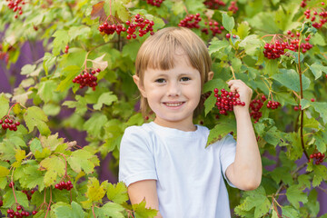 Portrait of a little girl on the background of bush with bunches of red berries.