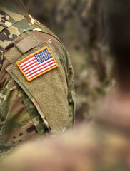Veterans Day. US soldier. US Army. The United States Armed Forces. Military forces of the United...