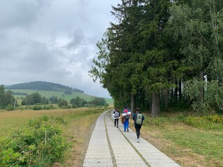 Obraz premium travellers hiking in the forest