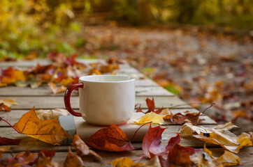 Beautiful autumn composition with a tea party. Autumn leaves, a book and a cup of tea on a wooden...