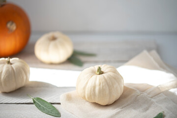 White and orange pumpkins on white background